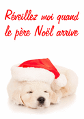 Un chiot endormi en attendant No&euml;l